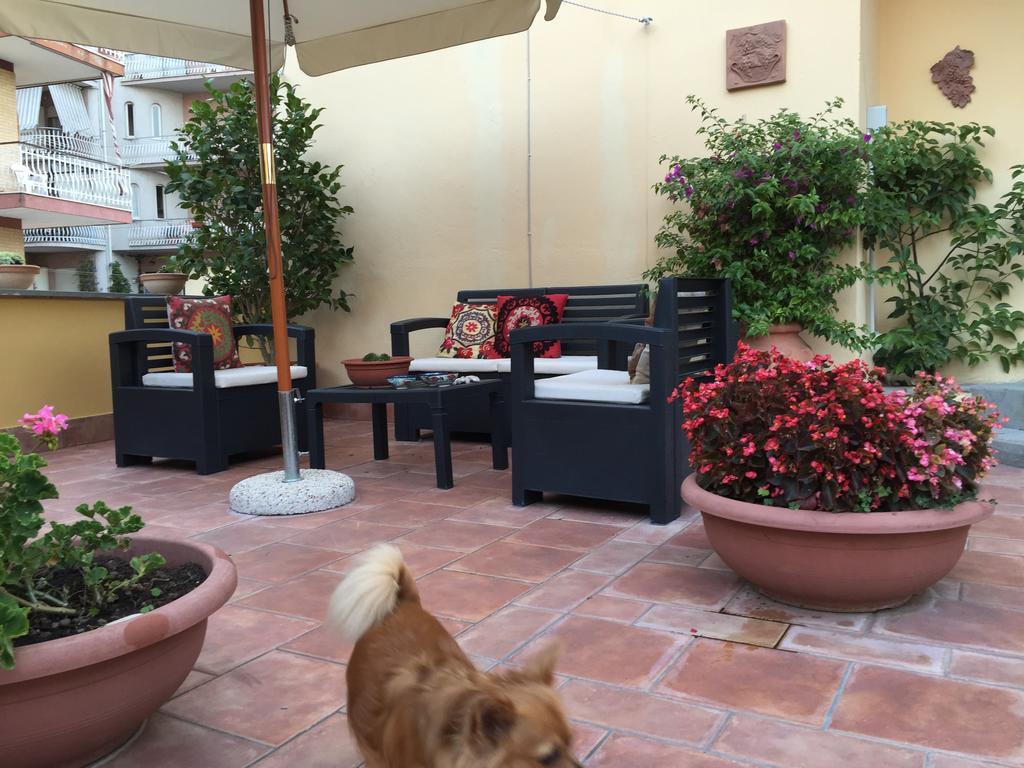 A Casa Di Grace Bed & Breakfast Cassino Exterior photo